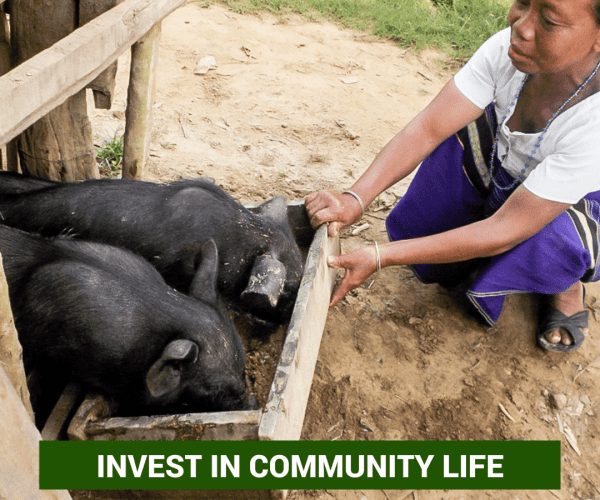 invest in community life